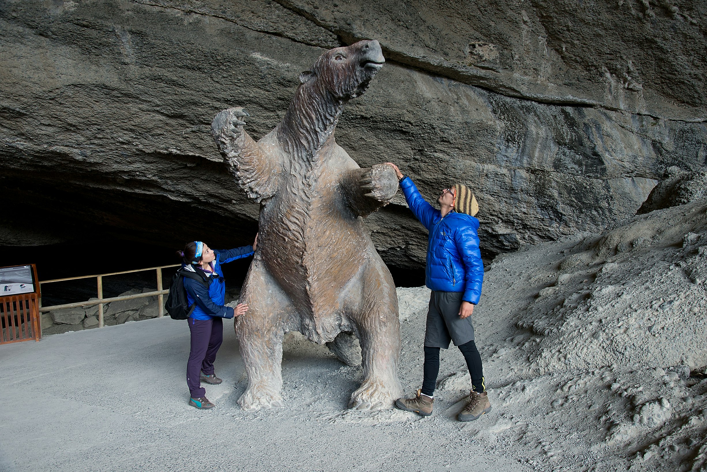 Circuit 10D/9N Santiago, San Rafael Lagoon and Torres del Paine - imagen #4