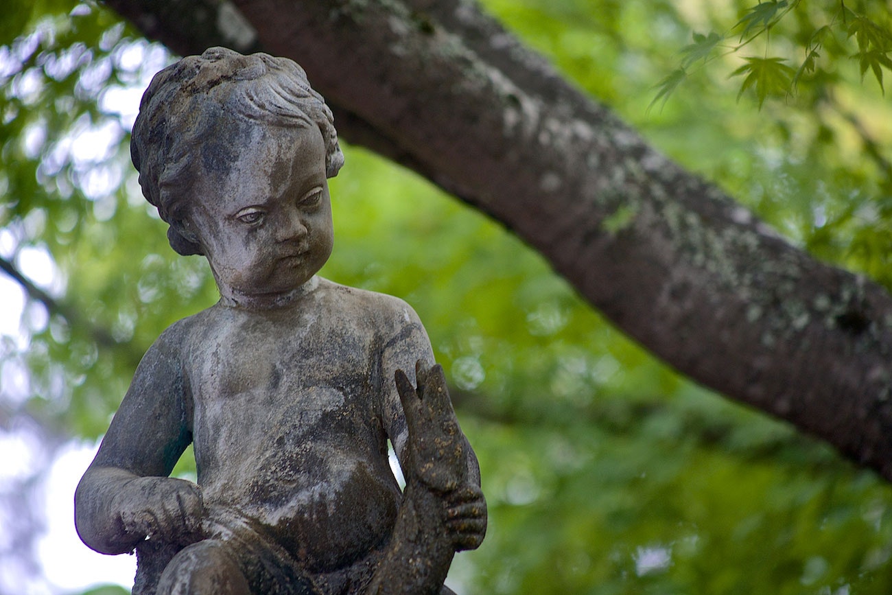 Soft Adventure in Santiago, San Pedro de Atacama, Easter Island and Torres del Paine - imagen #6