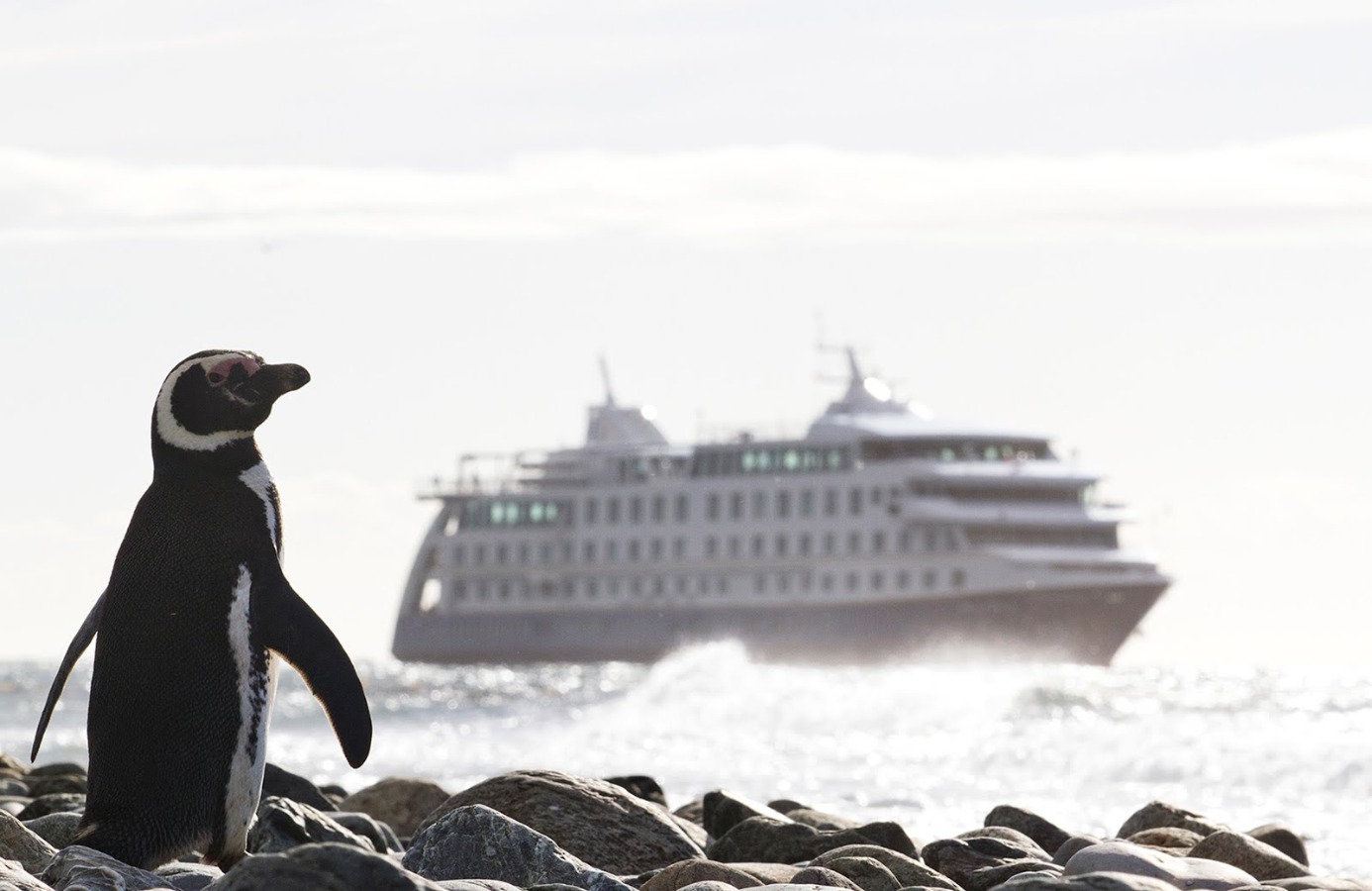 Ventus Australis Cruise / Ushuaia - Punta Arenas 
