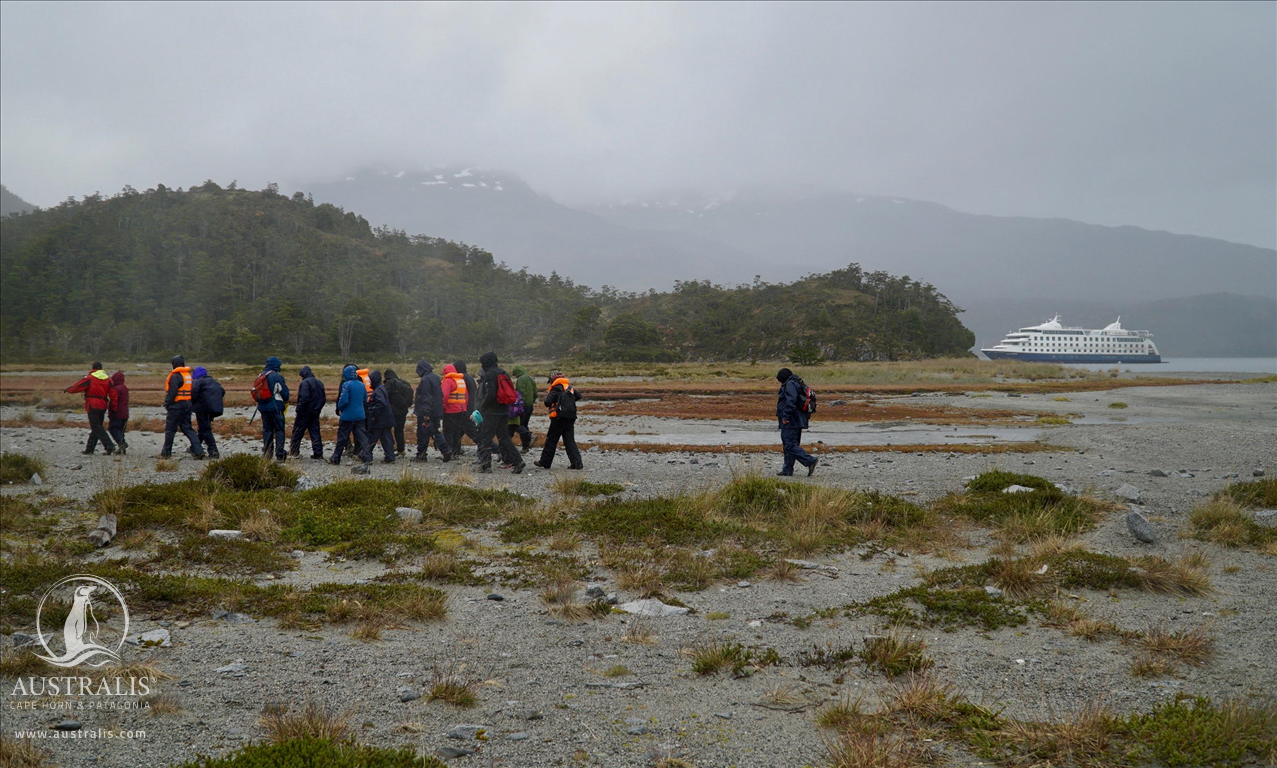 Ventus Australis Cruise / Ushuaia - Punta Arenas 