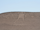 Pintados Geoglyphs