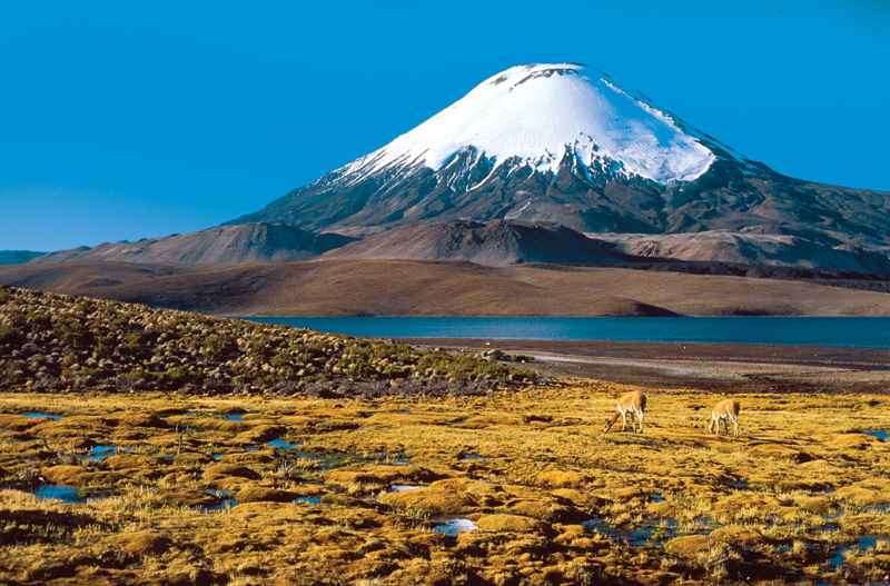Parque Nacional Lauca