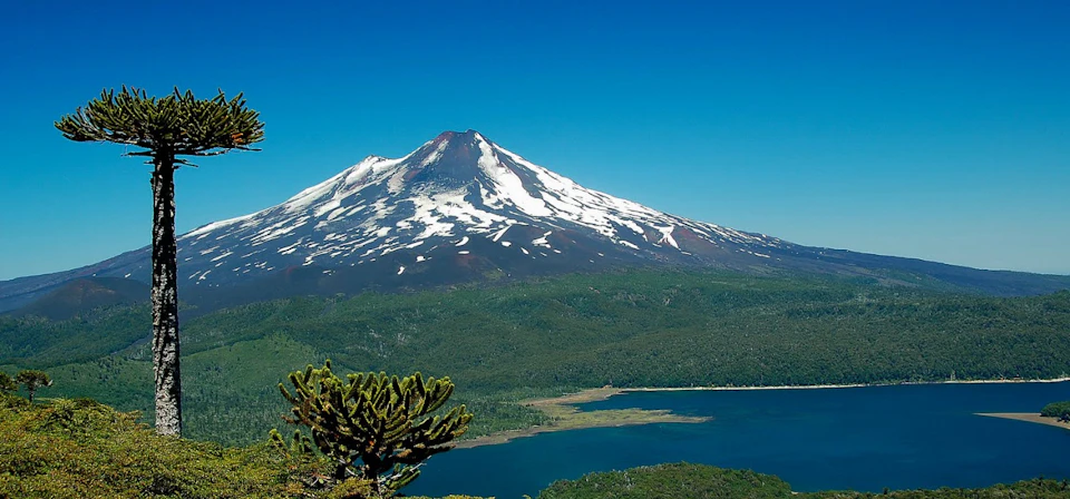 Conguillio National Park Araucania Andina Chile Conguillio National Park Araucania Andina Chile