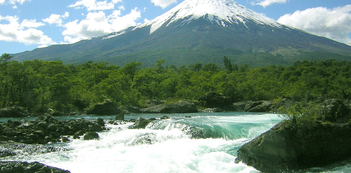Llanquihue National Reserve