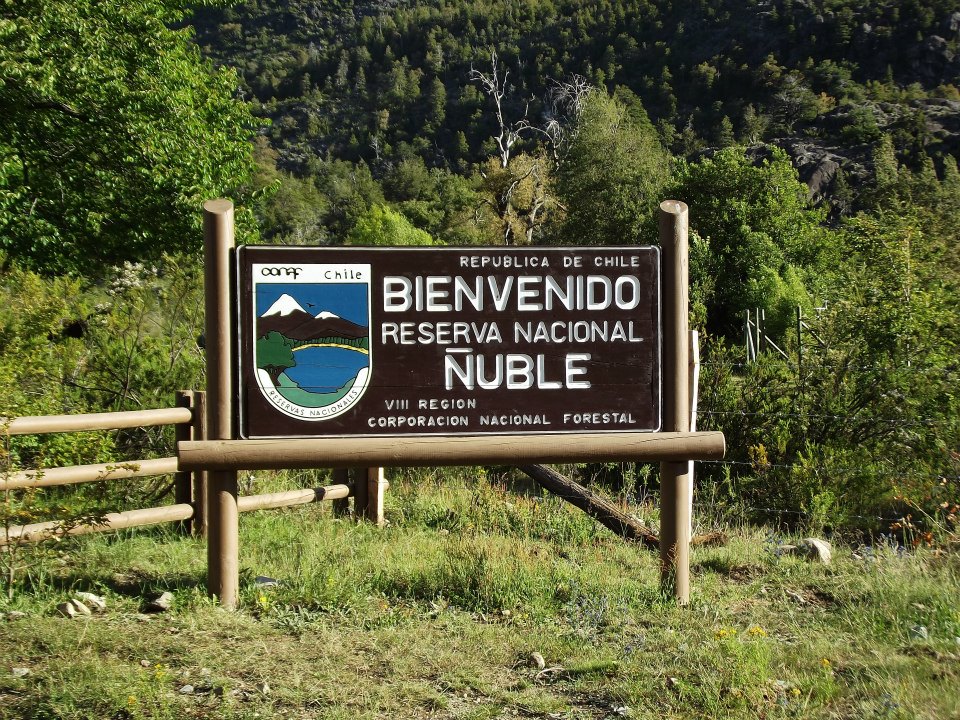 Ñuble National Reserve