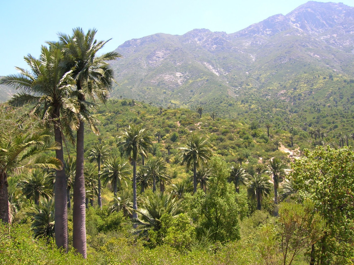 La Campana National Park