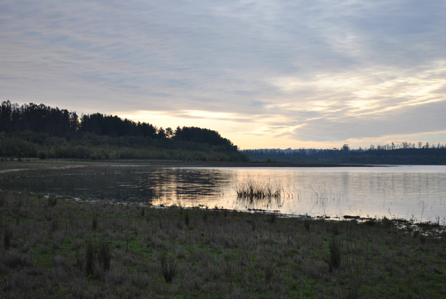 Peñuelas Lake Forestal Reserve