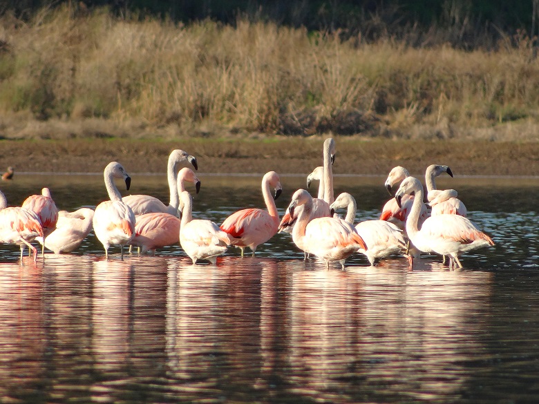 Reserva Nacional el Yali