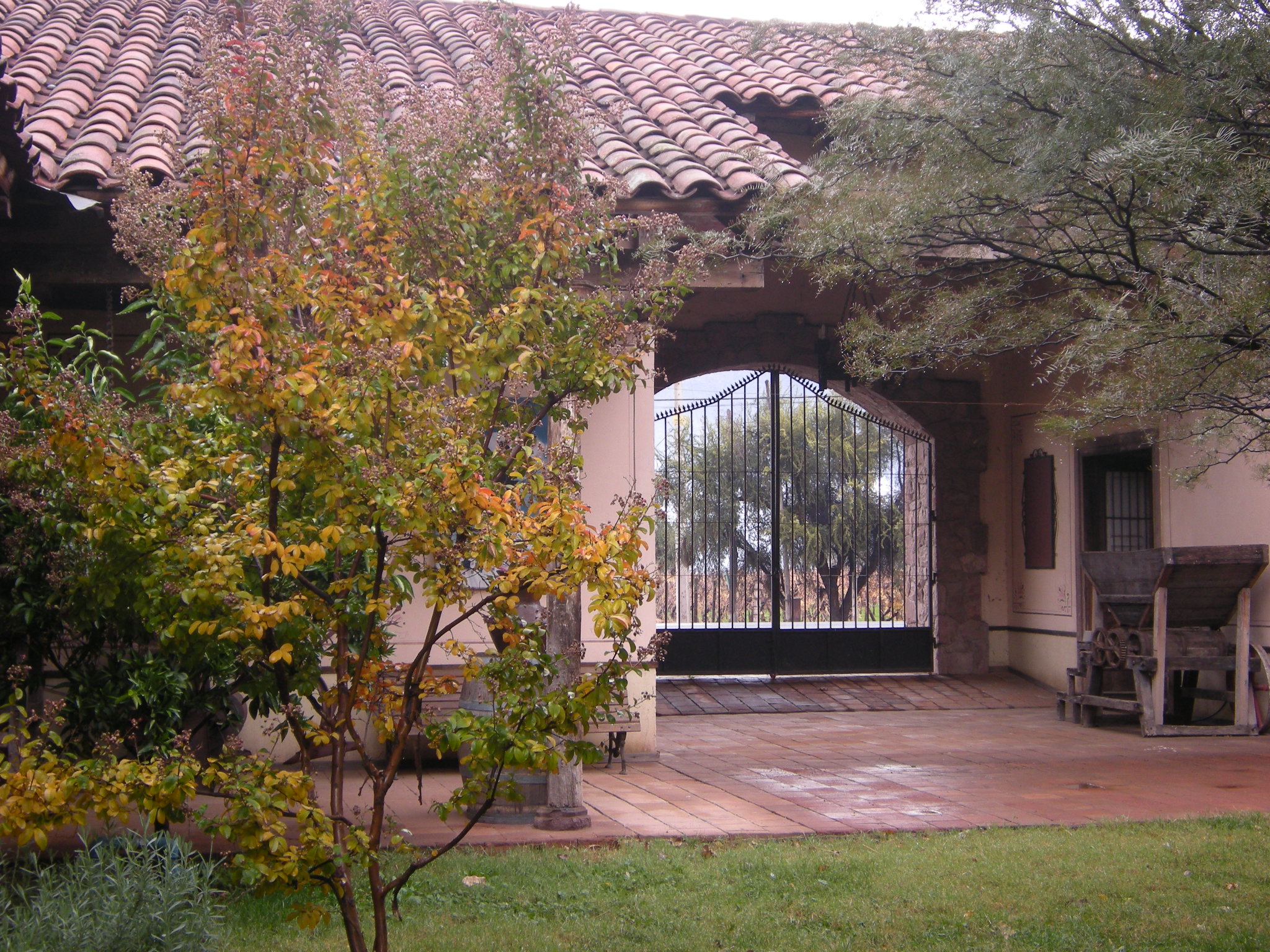 Aconcagua Valley Wine Route,  Monasterio Vine