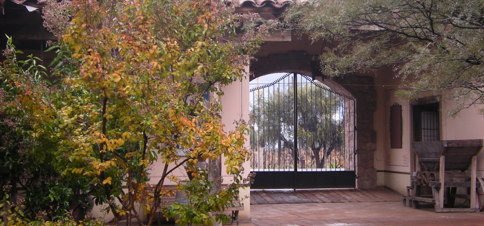 Aconcagua Valley Wine Route,  Monasterio Vine