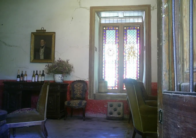 Aconcagua Valley Wine Route, Sanchez de Loria Vine