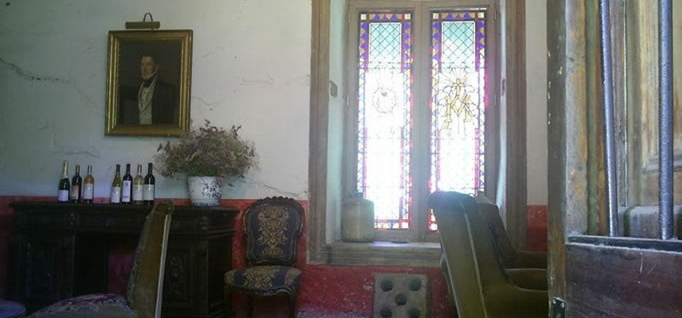 Aconcagua Valley Wine Route, Sanchez de Loria Vine