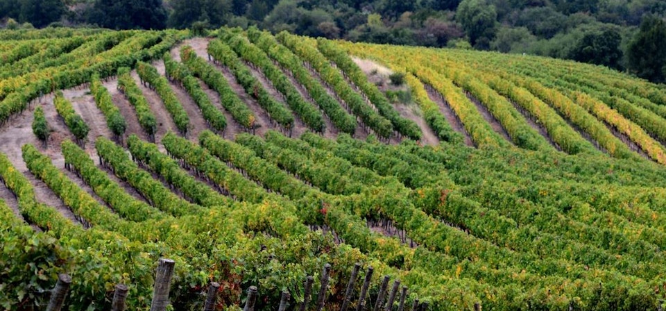 Maule Valley Wine Route