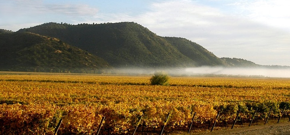 Valle de Curicó y Radal Siete Tazas