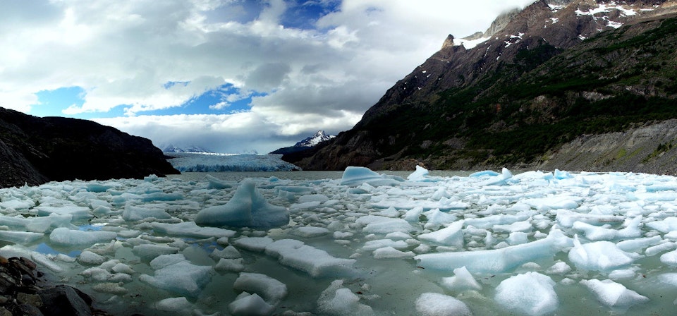 Grey Glacier