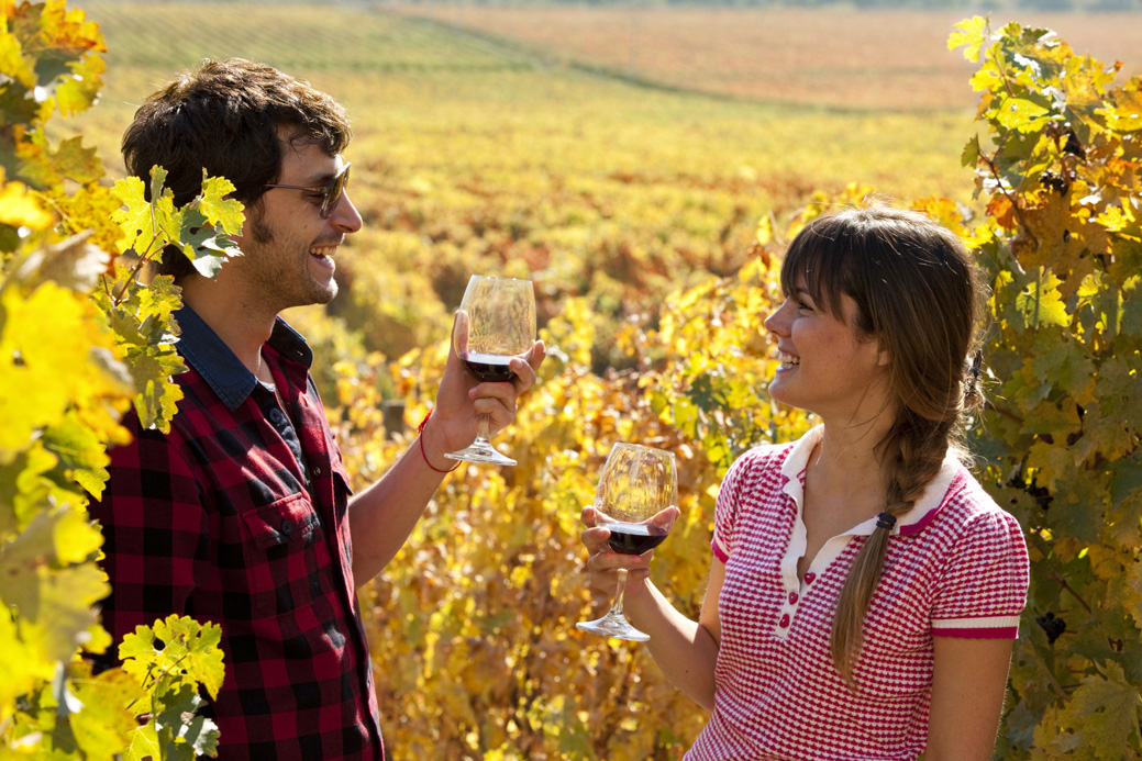 Guia de Turismo e Viagem das Rotas do Vinho do Chile