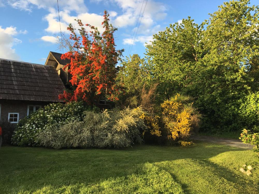 Hostal Truyaca - image #4