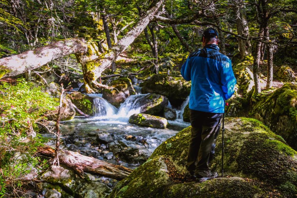 Hotel Lago Grey - imagen #5