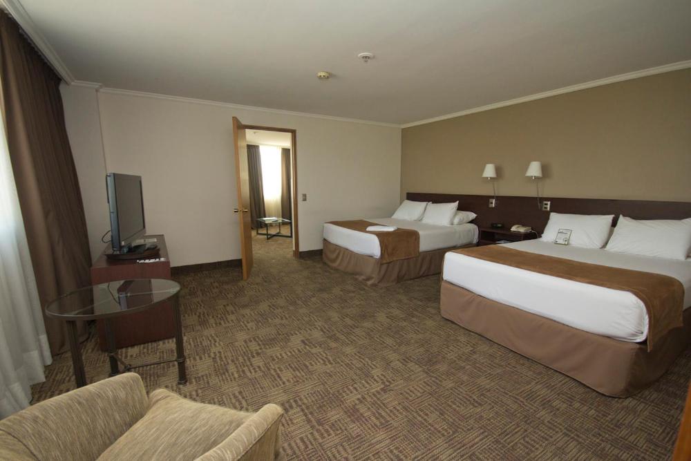 Hotel Director - image #3