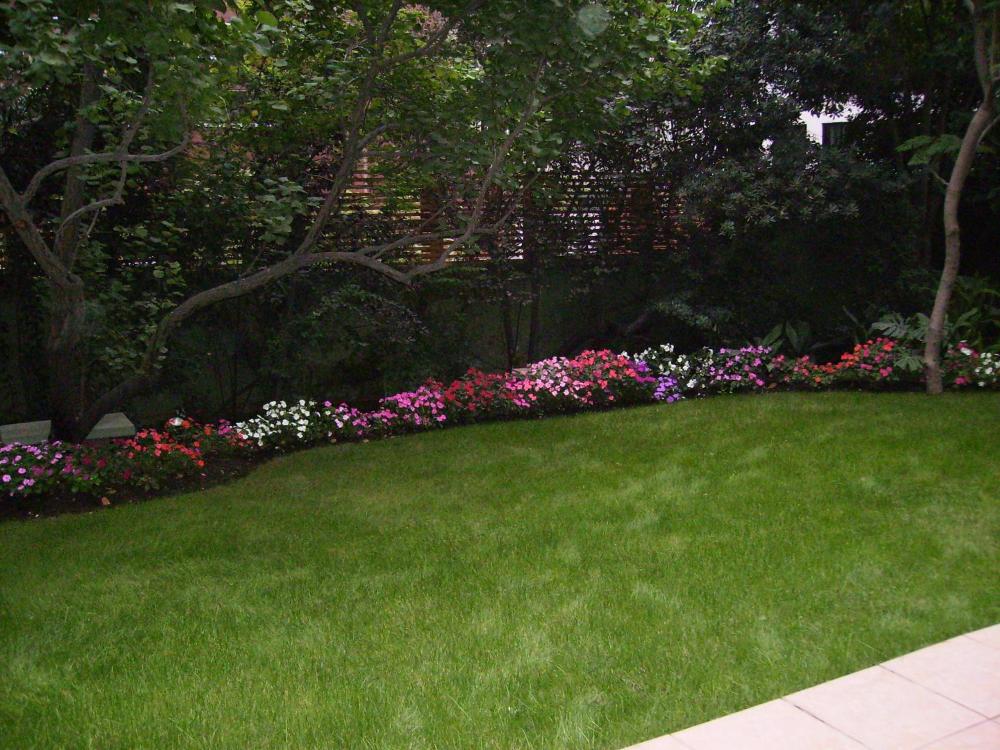 Hotel Eurotel El Bosque - imagen #5