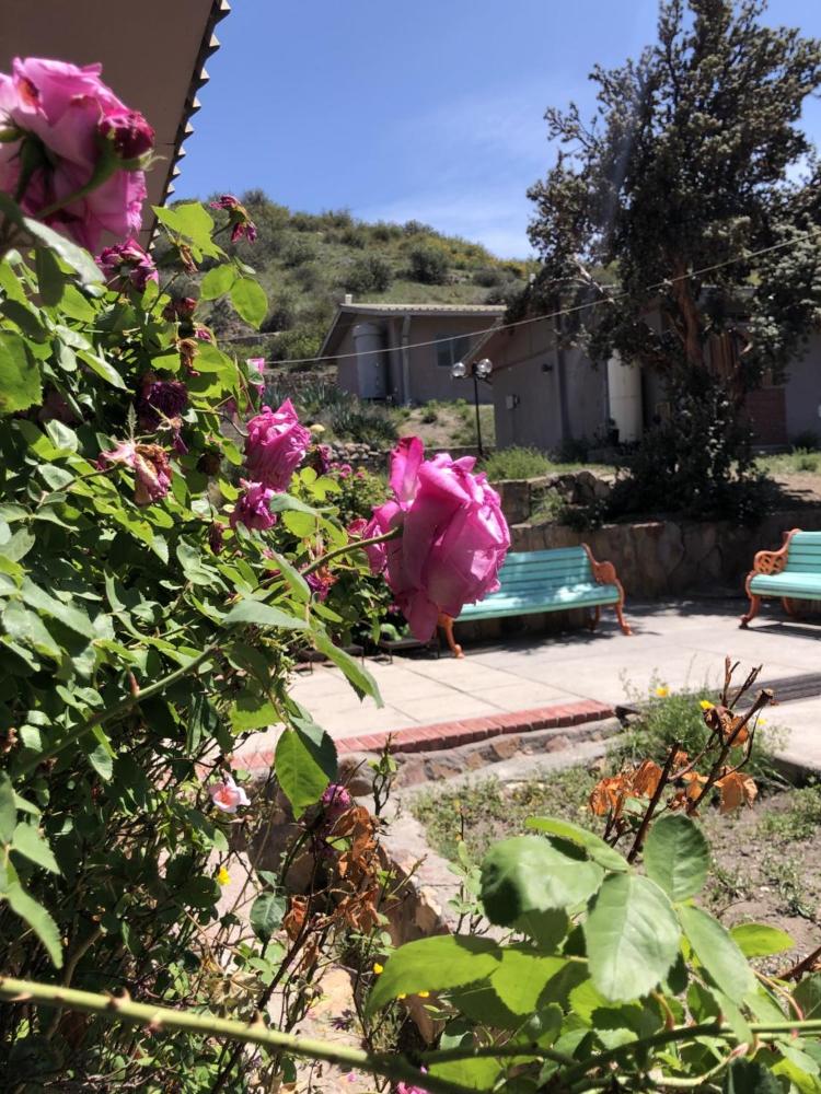 Hotel Las Vicuñas Lodge - imagen #5