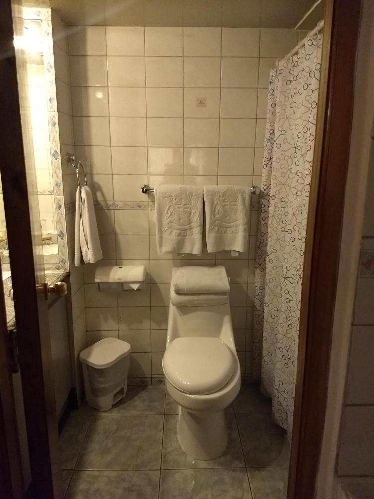 Hotel Windsor Suite - image #4