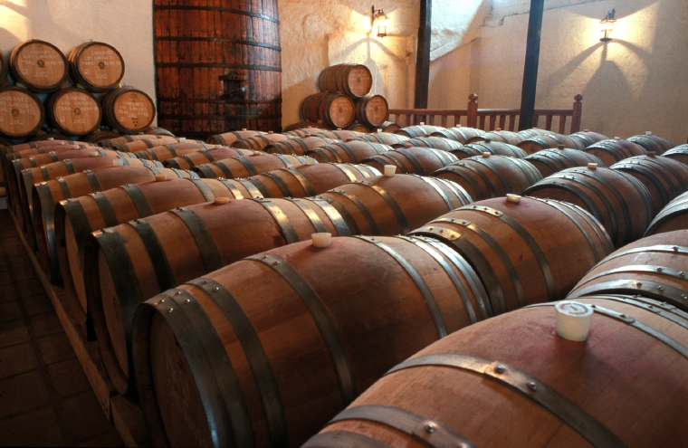 Travel Santiago, Mountains and Vineyards - imagen #3