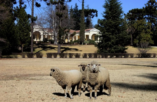 Travel Santiago, Mountains and Vineyards - imagen #11