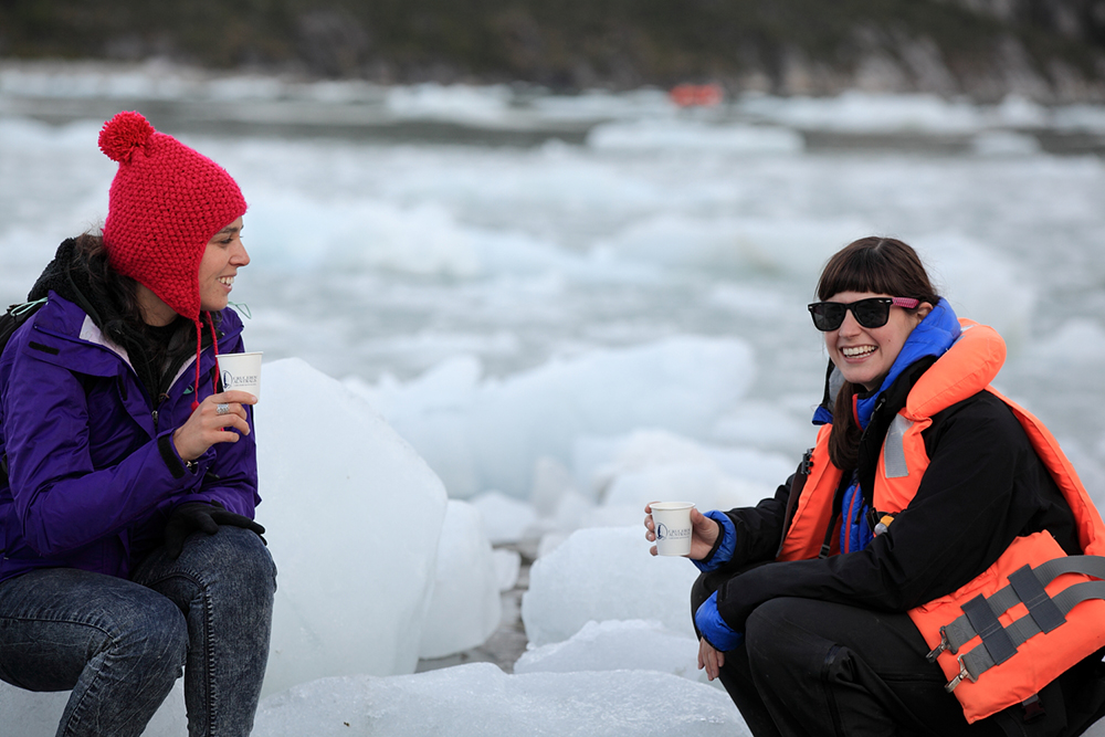 Tour Torres del Paine - Perito Moreno - Glaciers - imagen #5