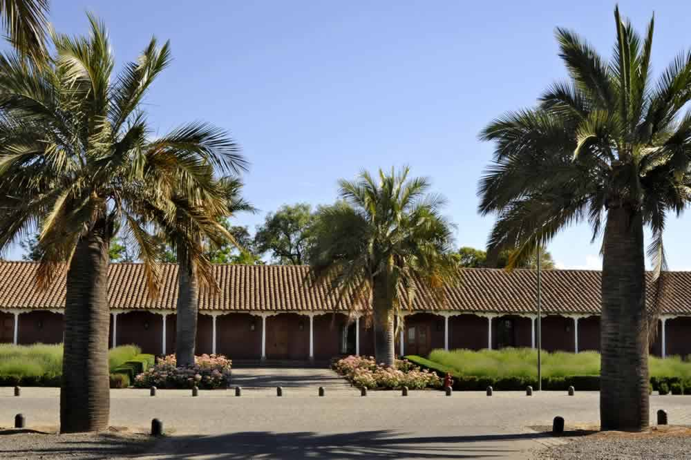 Tour Viña Santa Rita - imagen #6