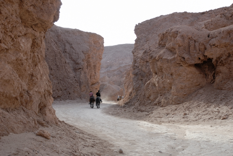 San Pedro de Atacama Tour - Mix Route - imagen #11