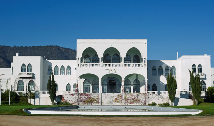 Santiago - Isla Negra - Undurraga Vineyard - imagen #5