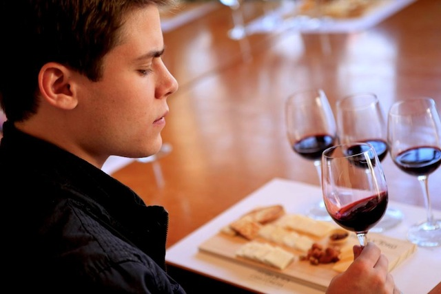 Concha y Toro Vineyard Wine Tour - imagen #8