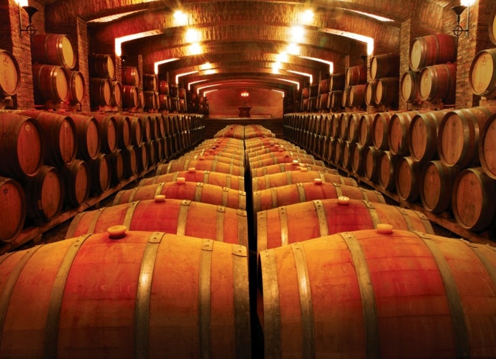 Tour Viña Undurraga