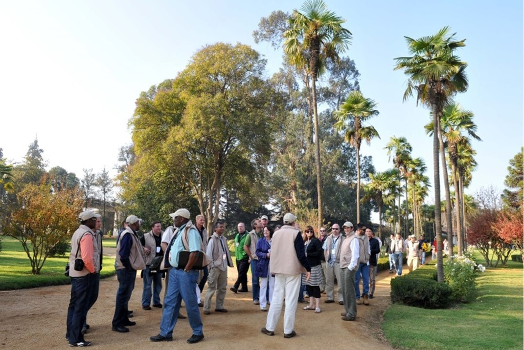 Tour Viña Undurraga - imagen #3