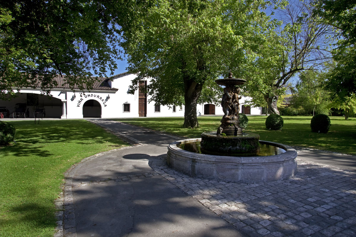Undurraga Vineyard Wine Tour