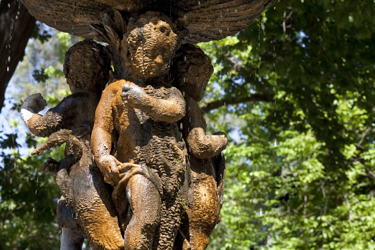 Tour Viña Undurraga - imagen #8