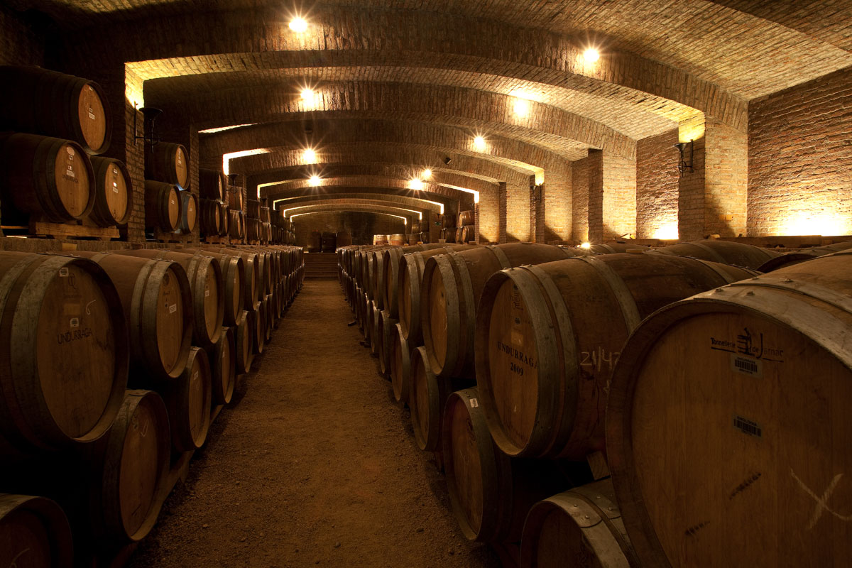 Tour Viña Undurraga - imagen #10