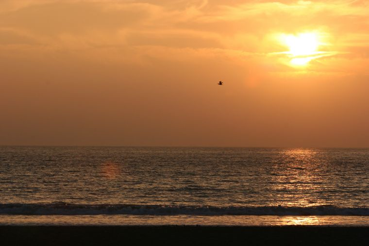 City Tour La Serena and Coquimbo - imagen #7