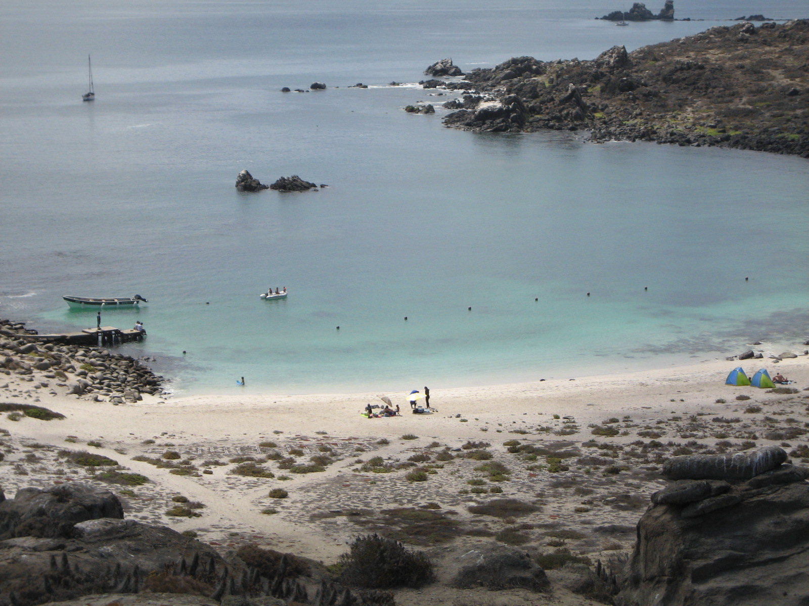 Tour Isla Damas: Reserva Nacional del Pinguino Humboldt - imagen #8