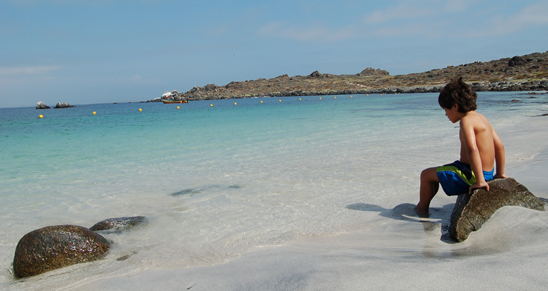 Tour Isla Damas: Reserva Nacional del Pinguino Humboldt - imagen #10