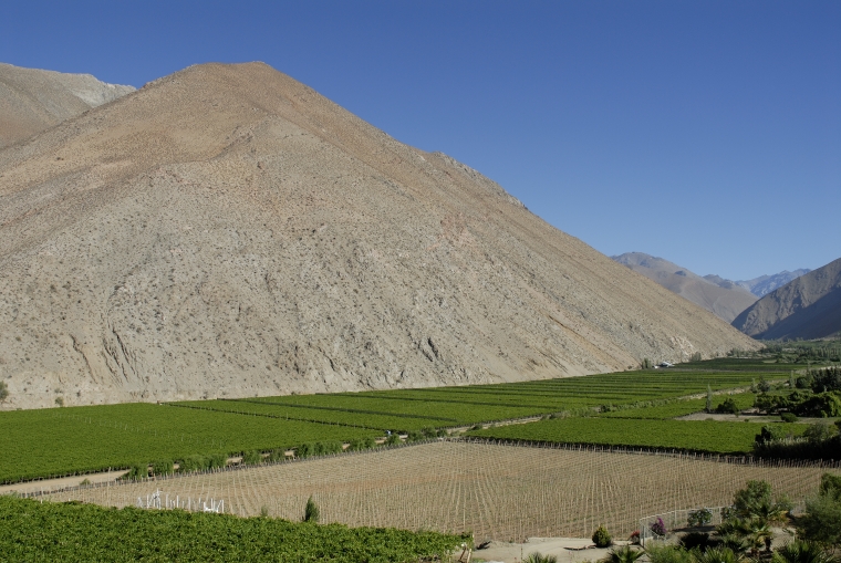 Valle del Elqui