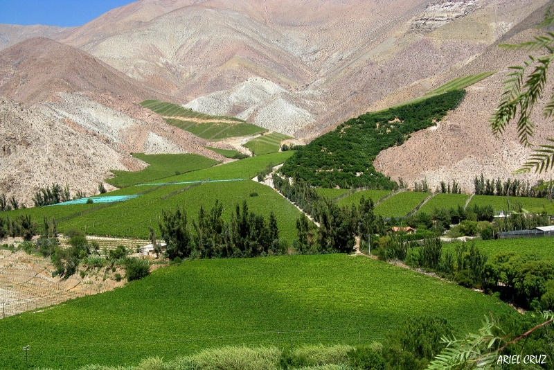 Elqui Valley - imagen #2