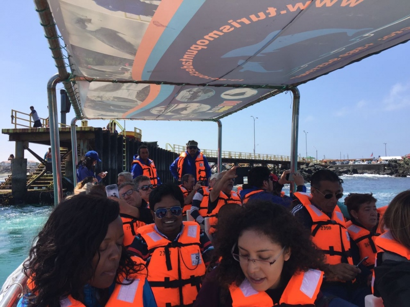 Tour Isla Damas: Reserva Nacional del Pinguino Humboldt - imagen #12