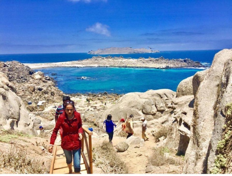 Damas Island: Humboldt Penguin National Reserve Day Tour