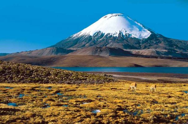 Tour Parque Nacional Lauca - imagen #2