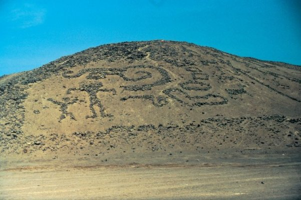 Tour Parque Nacional Lauca - imagen #3