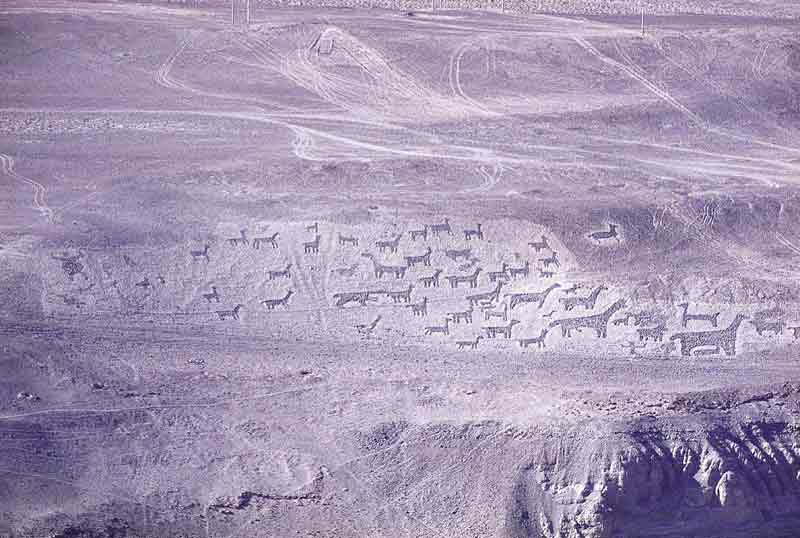 Pintados Geoglyphs and Humberstone - imagen #2