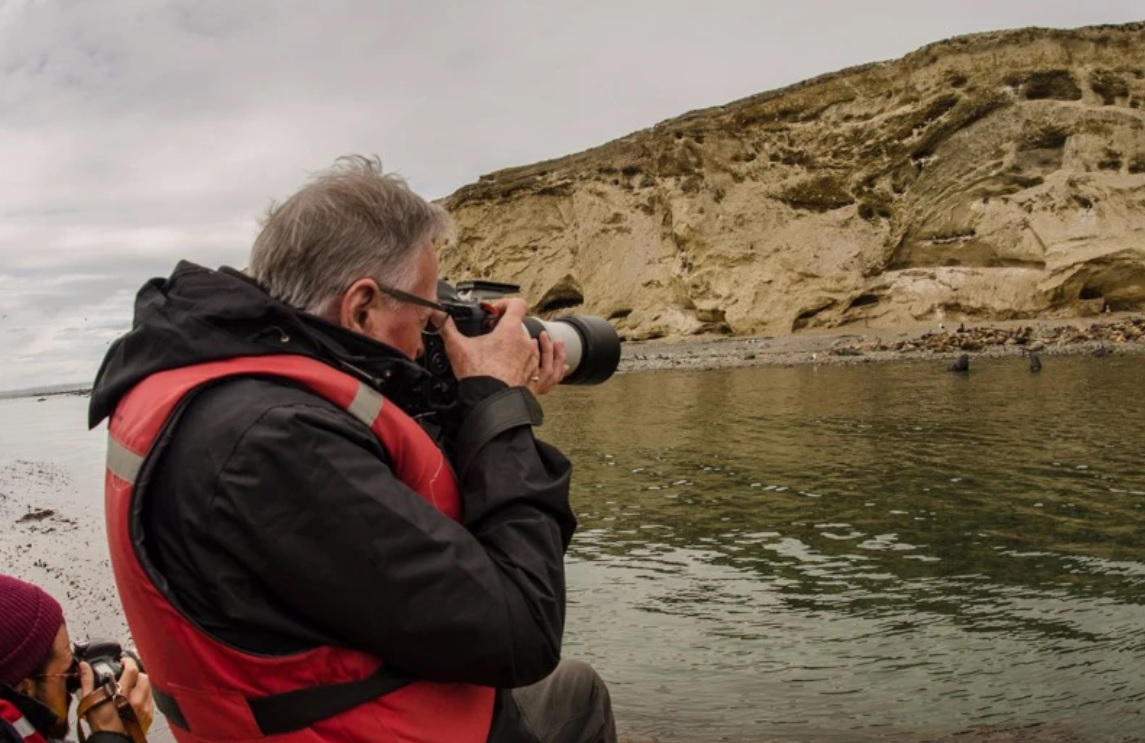 Magdalena Island and Marta Island Penguin Colony - imagen #2