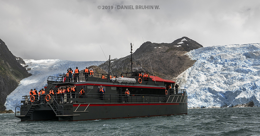 Whales, Penguins and Glaciers Tour - imagen #6